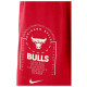 Nike Ανδρικό σορτς Chicago Bulls Club Courtside Fleece Shorts